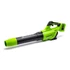 Greenworks G24x2AB 2x24V